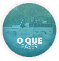 Visite Ubatuba - O Que Fazer