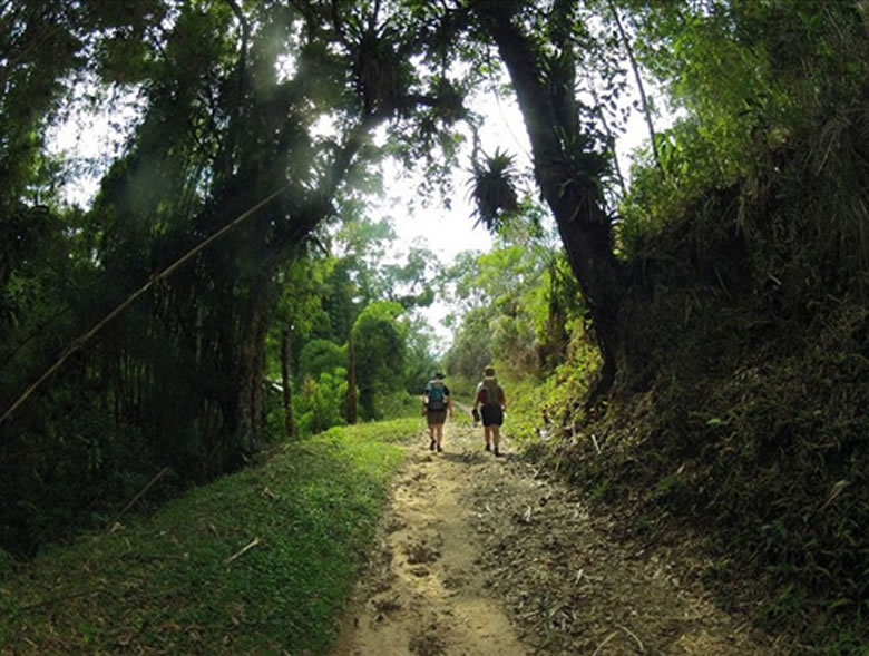 Trilhas em Paraty-RJ